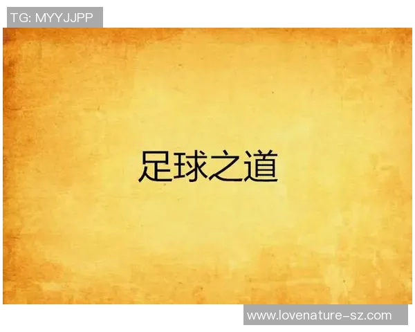 足球之道你：探索足球的魅力与精神，感受团队合作与个人成长的完美结合