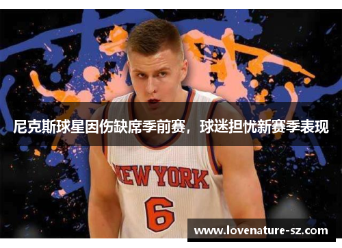 尼克斯球星因伤缺席季前赛，球迷担忧新赛季表现