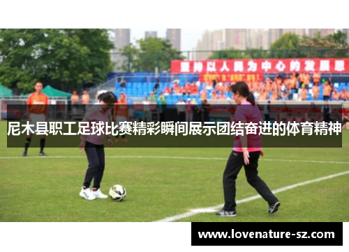 尼木县职工足球比赛精彩瞬间展示团结奋进的体育精神
