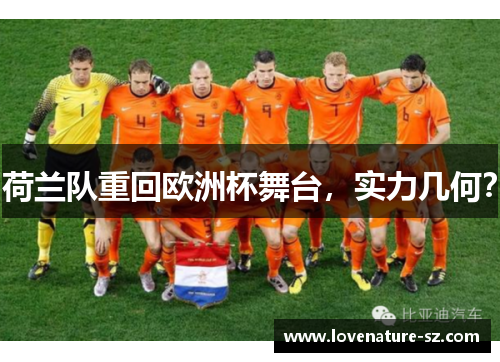 荷兰队重回欧洲杯舞台，实力几何？