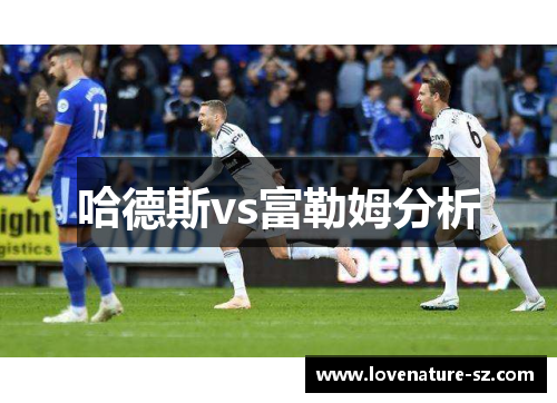 哈德斯vs富勒姆分析