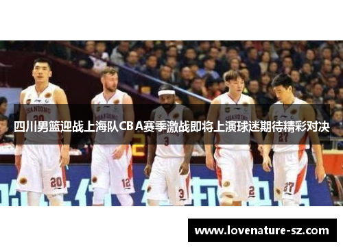四川男篮迎战上海队CBA赛季激战即将上演球迷期待精彩对决
