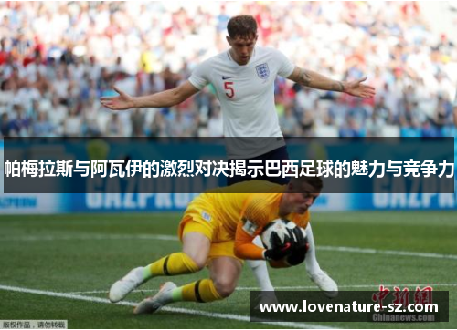 帕梅拉斯与阿瓦伊的激烈对决揭示巴西足球的魅力与竞争力