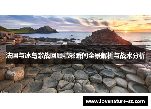法国与冰岛激战回顾精彩瞬间全景解析与战术分析