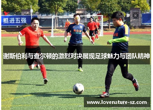谢斯伯利与查尔顿的激烈对决展现足球魅力与团队精神