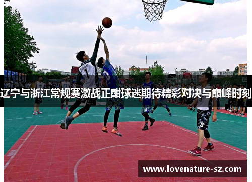 辽宁与浙江常规赛激战正酣球迷期待精彩对决与巅峰时刻