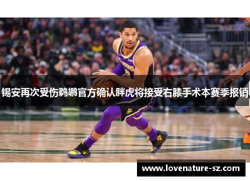 锡安再次受伤鹈鹕官方确认胖虎将接受右膝手术本赛季报销