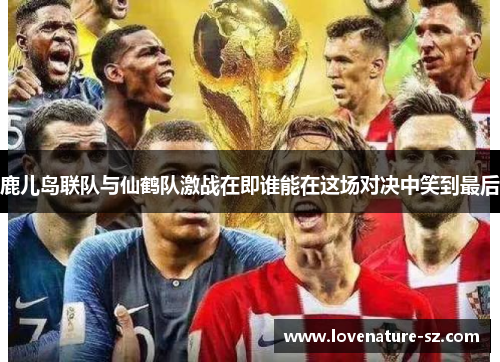 鹿儿岛联队与仙鹤队激战在即谁能在这场对决中笑到最后