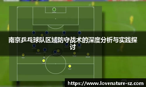 南京乒乓球队区域防守战术的深度分析与实践探讨